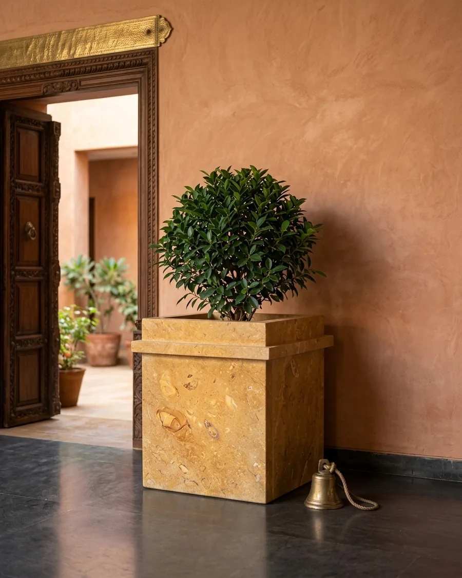 Tulsi in a home setting